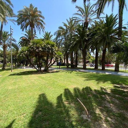 Tropical Loft Apartment Alicante Exterior foto